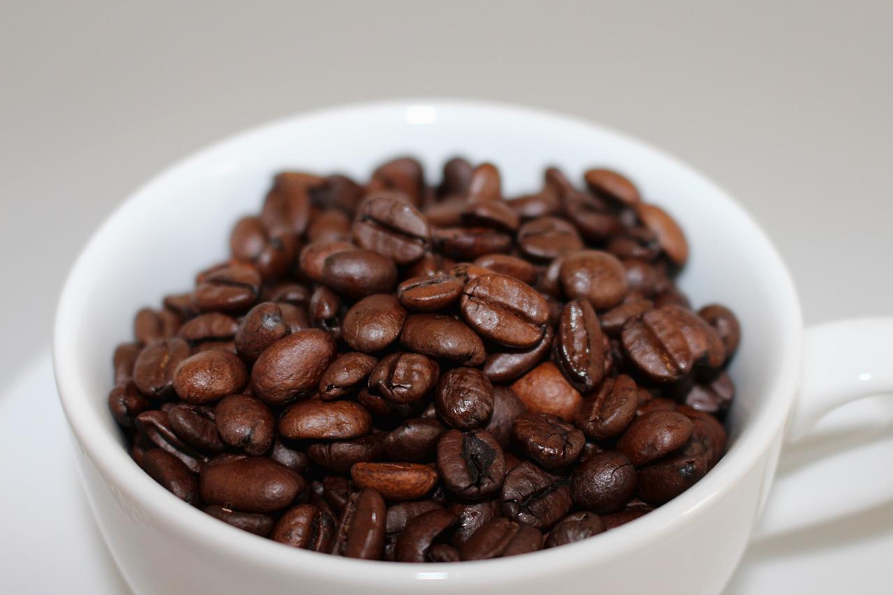 Grains de café vs poubelle malodorante